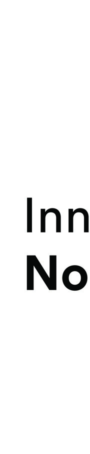 Innovasjon Norge Logo (1)